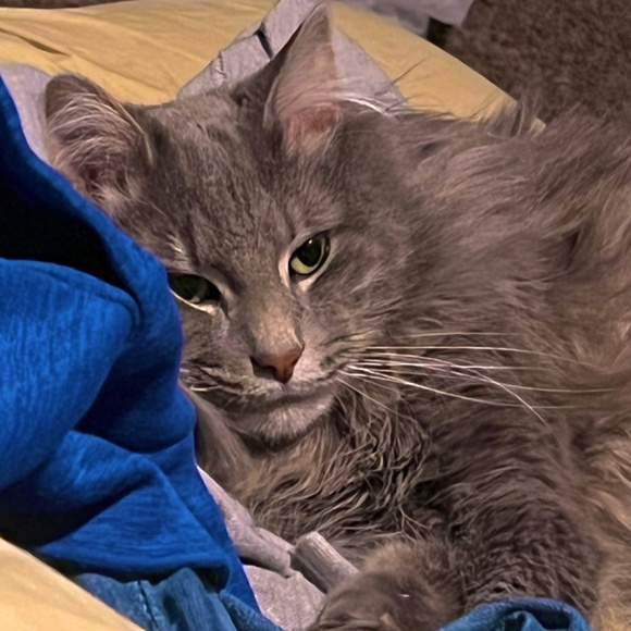 Meet your Posher, Hayden - Picture 11 of 12